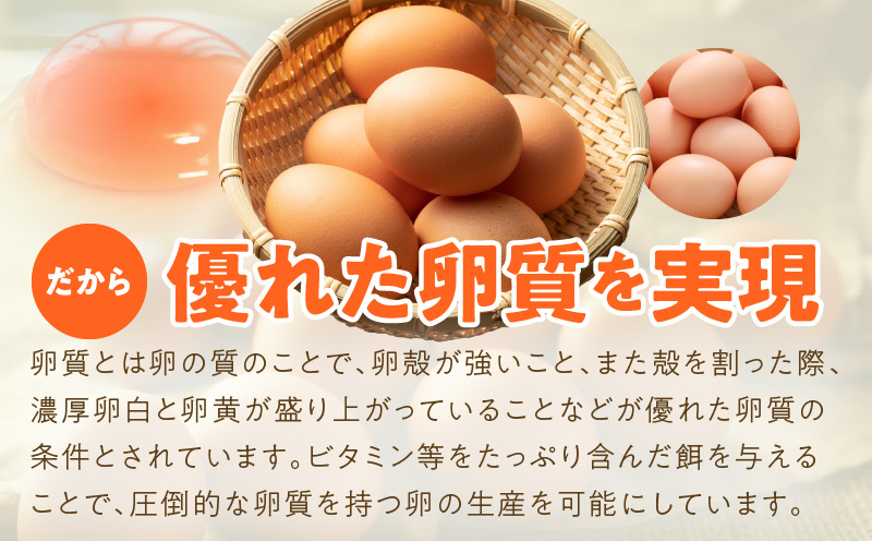 099Z162 戸野さん家のこだわりタマゴ とのたま 定期便 合計 90個（Mサイズ：30個×全3回）【毎月配送コース】