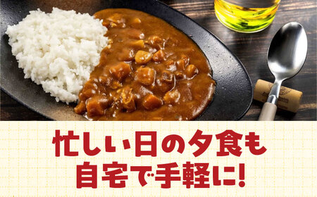 レトルトカレー「ボングスタ！」１０個詰め合わせ