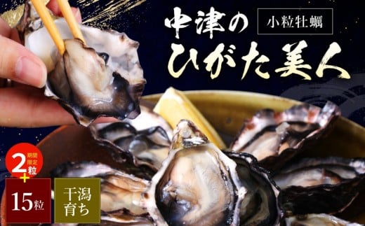 【期間限定】中津ひがた美人 (牡蠣 15粒 + 2粒) 養殖 | 冷蔵 かき オイスター 酒の肴 つまみ おかず 大分県産 九州産 国産 大分県 中津市