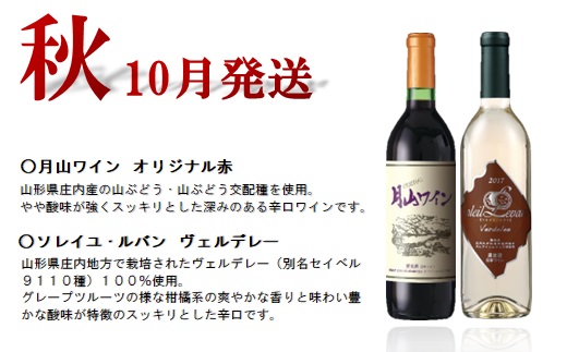食の都庄内　【定期便】月山ワイン　冬ワインスタート(2024年1月配送開始)