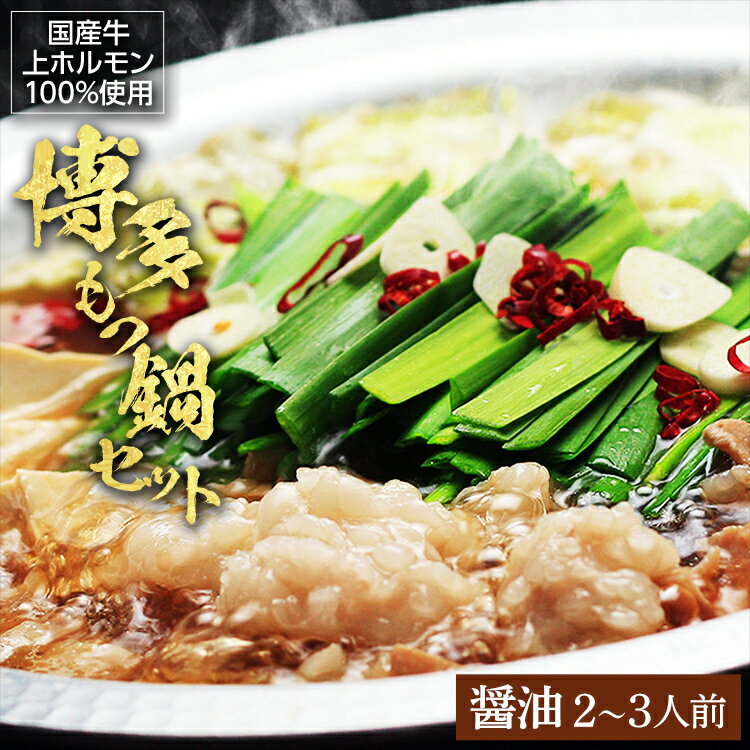 【ふるさと納税】博多もつ鍋セット（九州醤油仕立て）2～3人前 お取り寄せグルメ お取り寄せ 福岡 お土産 九州 福岡土産 取り寄せ グルメ 福岡県