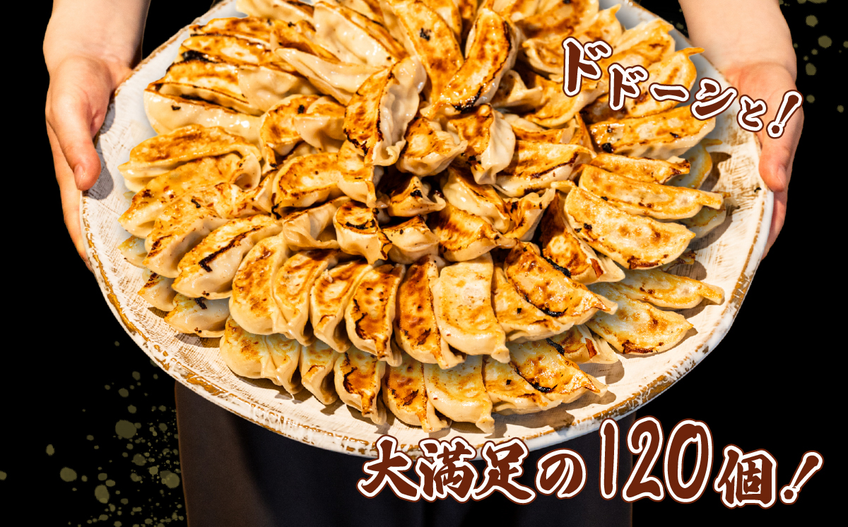 ローズポーク餃子 ドドーンと 120個 ( 冷凍 30個 × 4袋)【 茨城県産  ローズポーク 豚肉 キャベツ 北海道産小麦 春よ来 使用 もちもち ぷりぷり 皮 ギョウザ ギョーザ チャオズ 中華