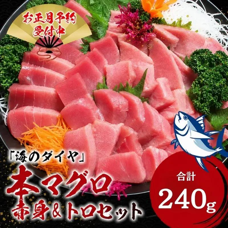 本マグロ（養殖）トロ＆赤身セット 240g 【12/25～29発送】高級 クロマグロ  中トロ 中とろ まぐろ マグロ 鮪 刺身 赤身 柵 じゃばらまぐろ 本マグロ 本鮪 【nks113B-sg】