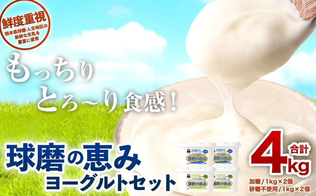 球磨の恵み ヨーグルト セット 計4000g（加糖・砂糖不使用）1000g×各2個セット 乳製品 生乳 朝食 おやつ ヘルシー