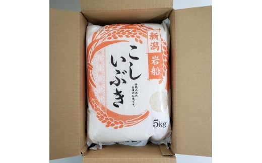 【令和7年産米】 こしいぶき 白米5kg（5kg×1） 新潟県村上市岩船産　1067101