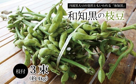 
≪数量限定≫丹波黒枝豆の発祥「和知黒」の枝豆 枝付き3束（約4kg） 【季節限定 おつまみ 枝豆 えだまめ 地域限定 黒豆 ご当地グルメ 特産品】 ※北海道・東北・沖縄・その他離島は配送不可 [012NA003L]
