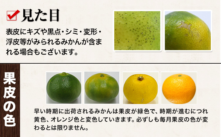 訳あり みかん 小玉みかん くまもと小玉みかん 5kg (2.5kg×2箱) 2ヶ月定期便 秋 旬 不揃い 傷 ご家庭用 SDGs 小玉 たっぷり 熊本県 産 S-3Sサイズ フルーツ 旬 柑橘 長洲