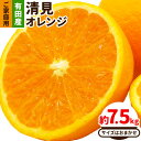 【ふるさと納税】【産直】有田産 清見オレンジ ご家庭用 訳あり 約7.5kg サイズおまかせ または 混合 日高町厳選館《2月上旬-4月中旬頃出荷》和歌山県 日高町 柑橘 果物 フルーツ 清見 オレンジ 清見オレンジ 有田産