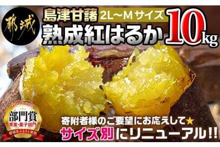島津甘藷　熟成紅はるか 10kg(2L～M)_AA-A701_(都城市) 島津甘藷 紅はるか 10kg サツマイモ 熟成 未選別 2L～M さつまいも 熟成 芋 定番 焼き芋 アウトドア