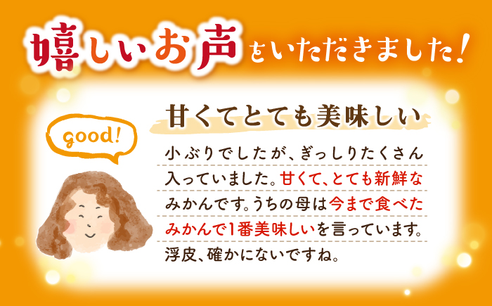 【12月上旬より配送開始☆優品】石地みかん 約4kg（傷み保証分200g含む）＜川添みかん園＞ [CCT005] みかん
