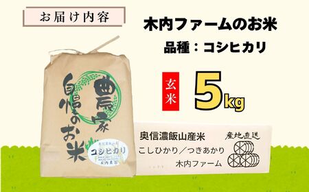 【先行予約】 令和７年産 コシヒカリ 玄米 10㎏  ＜2025年9月中旬より発送＞ 奥信濃飯山～木内ファームのお米～(7-11B) 長野県 飯山市 おすすめ ランキング おいしい 高評価 大人気 ギ