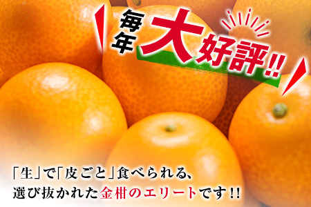 糖度16度以上 数量限定 完熟 きんかん たまたま 計1kg以上 傷み補償分付き 宮崎 期間限定 フルーツ 果物 くだもの ブランド 金柑 柑橘 令和8年発送 化粧箱入り 国産 食品 人気 おすすめ 