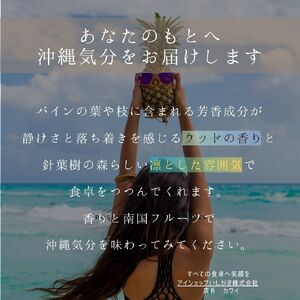 石垣島産・大玉ピーチパイン ３玉 約3.0kg【 沖縄県石垣市 石垣島 フルーツ 果物 パイン パインアップル パイナップル 産地直送 】SI-37