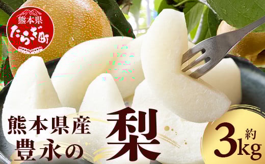 
            先行予約【2025年7月下旬～発送分】熊本県産 梨 約3kg  【 熊本県 多良木町 ナシ 幸水 新高 新興 豊水 秋月 秋麗 果物 フルーツ 熊本県産 】070-0593
          