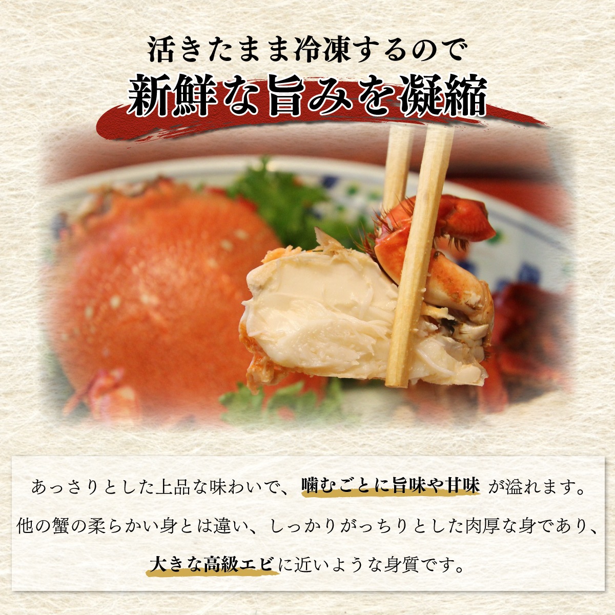 HRAGT-1 宮崎県串間産アサヒガニ 特大サイズ(計約1kg・2~3匹)【合同会社Houryoumaru】