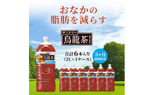 
サントリー烏龍茶OTPP（機能性表示食品） 2L×6本 ペットボトル　3ヶ月定期
