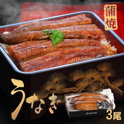 
            《3尾入》うなぎ蒲焼　化粧箱入り　地元老舗うなぎ加工会社より真空でお届け!【1696783】
          