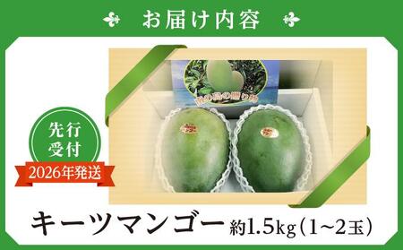 【先行受付】【2024年発送】キーツマンゴー 南城市 約1.5kg (1～2玉)
