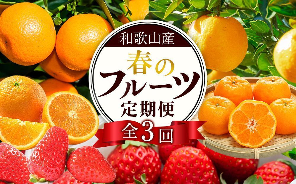 定期便全3回 【2月・3月・4月発送】 和歌山の春のフルーツ （ポンカン・清見オレンジ・まりひめ）【TM174】 303446_XH92234