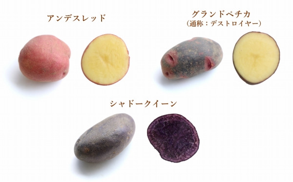 品種の一部をご紹介！