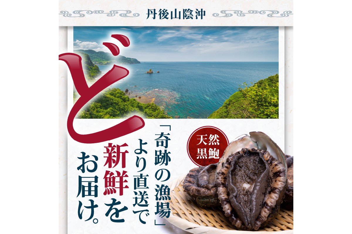 活きたまま届きます！ 天然黒アワビ 海水に酸素入りの特殊梱包 1000g入りおすすめセット