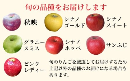 【2027年1月～2月配送】［訳あり］ 旬のりんご 約3kg 6～12玉 ［小布施屋］ 傷 規格外 不揃い 訳アリ 家庭用 りんご 林檎 リンゴ 果物 フルーツ 長野県産 信州産 特産 産地直送 産直