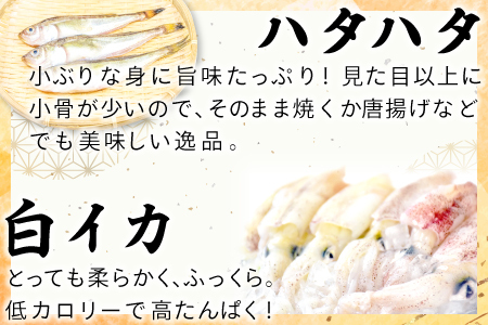 定番の干物４種詰合せセット【干物 セット アジ エテカレイ ハタハタ 白いか 鯵 鰈 鰰 白イカ 島根県産 島根県沖 一夜干し ひもの 魚 魚介 日本食 和食 贈答 ギフト お取り寄せグルメ ご当地グ