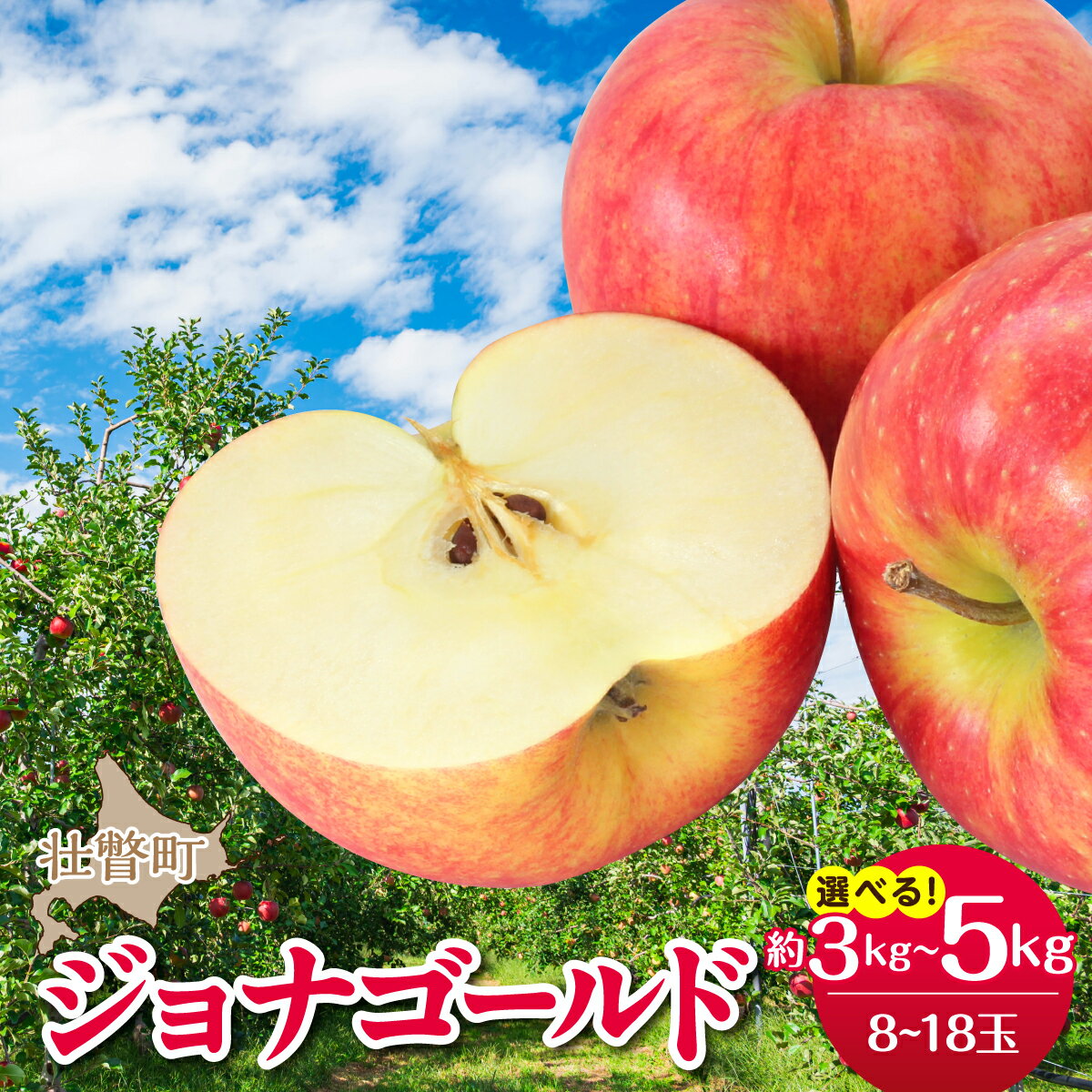 【ふるさと納税】＜2026年10月下旬よりお届け＞北海道壮瞥町　りんご　品種名「ジョナゴールド」 選べる容量 約3kg / 5kg【 りんご リンゴ 林檎 果物 フルーツ 甘酸っぱい 爽やか 北海道産 壮瞥町 数量限定 】