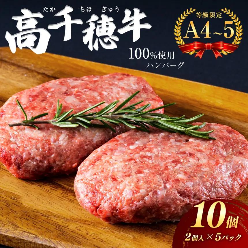 高千穂牛１００％使用　ハンバーグ(１０個)