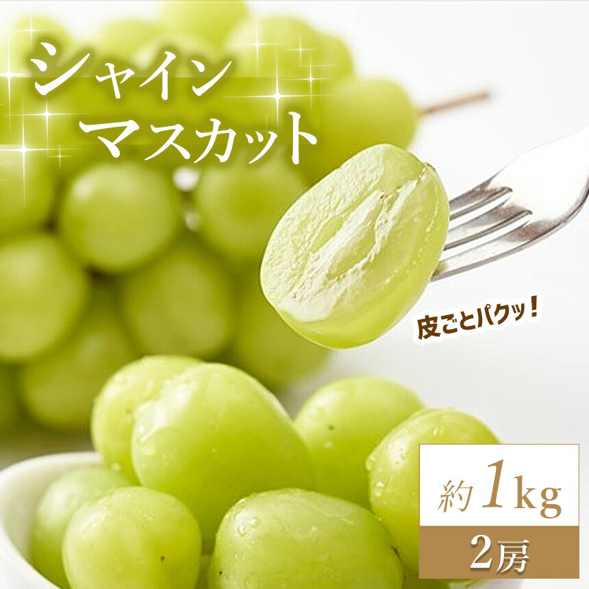 【ふるさと納税】【 先行予約 】 数量限定 熊本県和水町産 シャインマスカット約1kg ＜ 8月中旬頃より順次発送 ＞ | 熊本県 熊本 くまもと 和水町 なごみ マスカット ぶどう ブドウ 葡萄 白ブドウ 1kg
