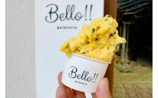 
【無添加・無着色】手作り ジェラート プレミアムアソート B
