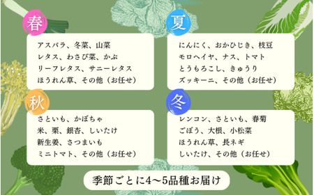 【4回定期便】ラポルテ五泉四季の厳選野菜 新潟県 五泉市 まるっと五泉プロジェクトFunSpace株式会社