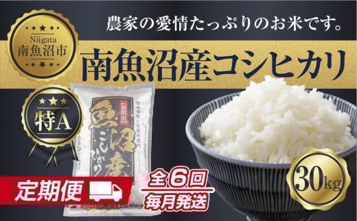 
            【定期便】 新潟県 南魚沼産 コシヒカリ お米 30kg×計6回 精米済み 半年間 毎月発送 こしひかり（お米の美味しい炊き方ガイド付き）【2025年10月中旬より順次発送予定】
          