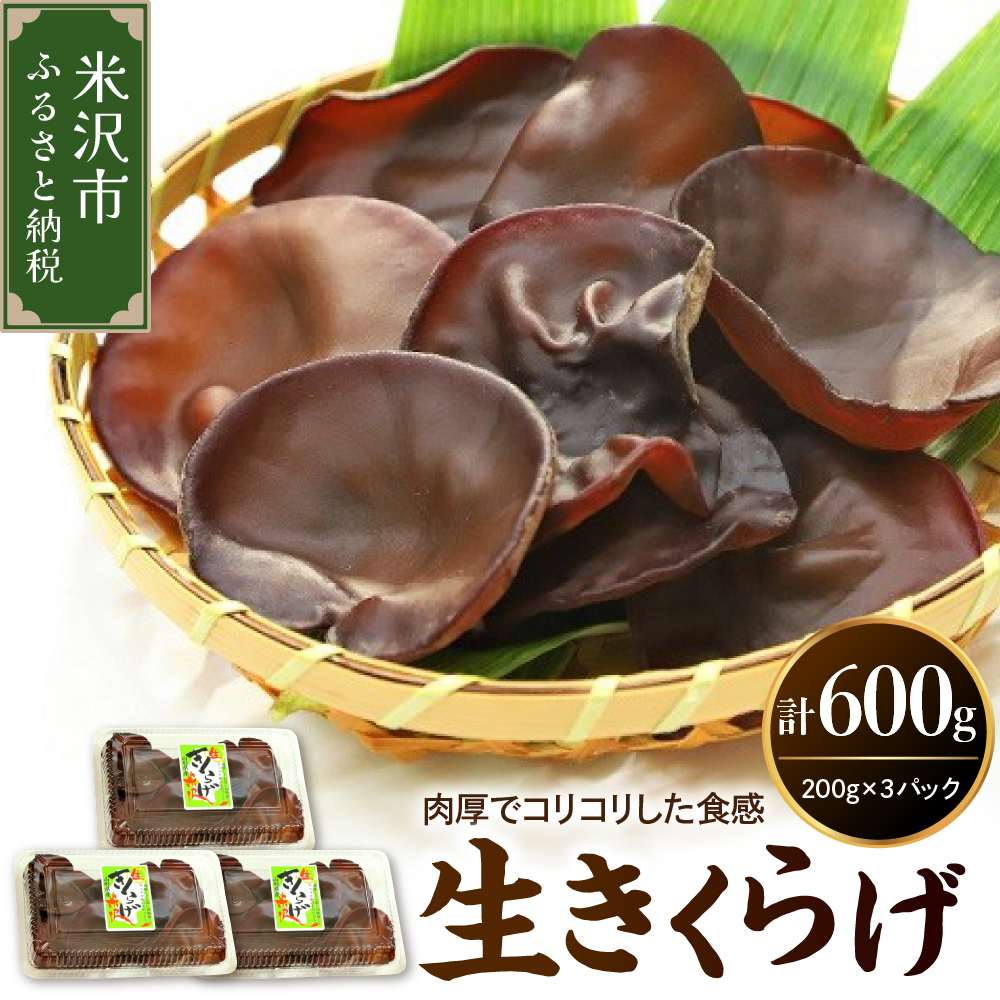 《先行予約》【 期間限定 】 生きくらげ 計 600g （ 200g × 3パック ）〔 2025年 6月 ～ 10月 中旬頃お届け 〕 米沢産 きくらげ きのこ 冷蔵