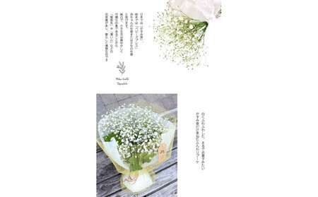 かすみそうの花束 かすみ草 カスミソウ 花束(小さいサイズ) 【 カスミソウ ブーケ 花 花束 花ギフト 】