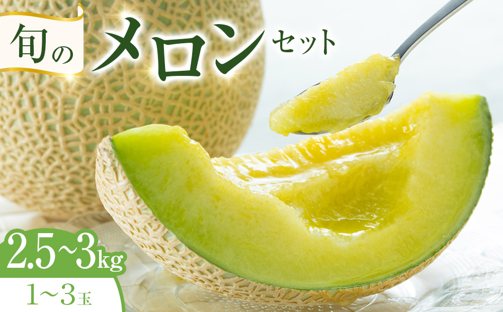 【ポイント交換専用】318.【先行予約】旬のメロンセット◇ ※6月上旬～7月下旬頃に順次発送予定 313726_AN079-P