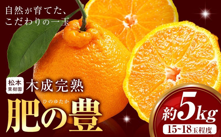 
                  みかん 木成完熟 肥の豊 5kg 松本果樹園 《3月中旬-3月下旬出荷予定》 熊本県 苓北町 スイーツ デザート 果物 ミカン 蜜柑
                