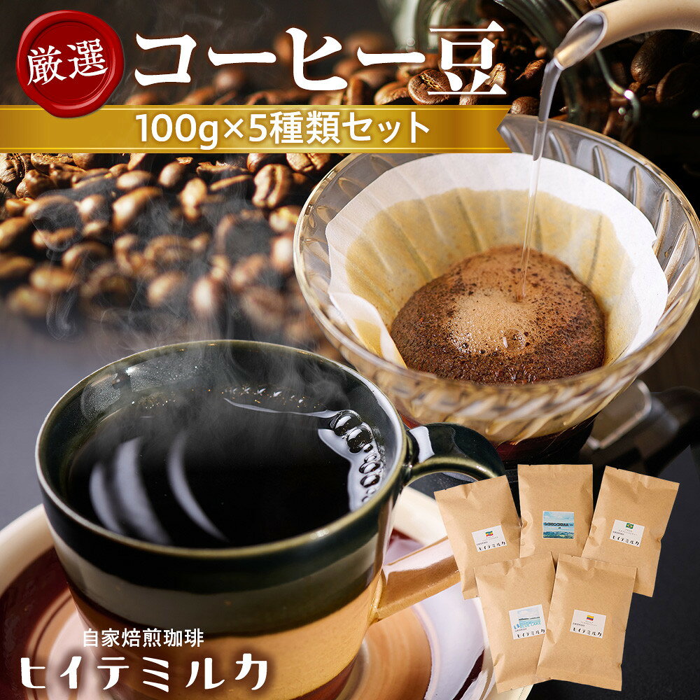 【ふるさと納税】自家焙煎コーヒー 厳選コーヒー豆100g×5種類セット | 西宮 自家焙煎珈琲店 厳選豆 飲み比べセット 人気 おすすめ コーヒー 珈琲豆 ブレンド スペシャルティ ギフト お取り寄せ 通販 送料無料 ふるさと納税