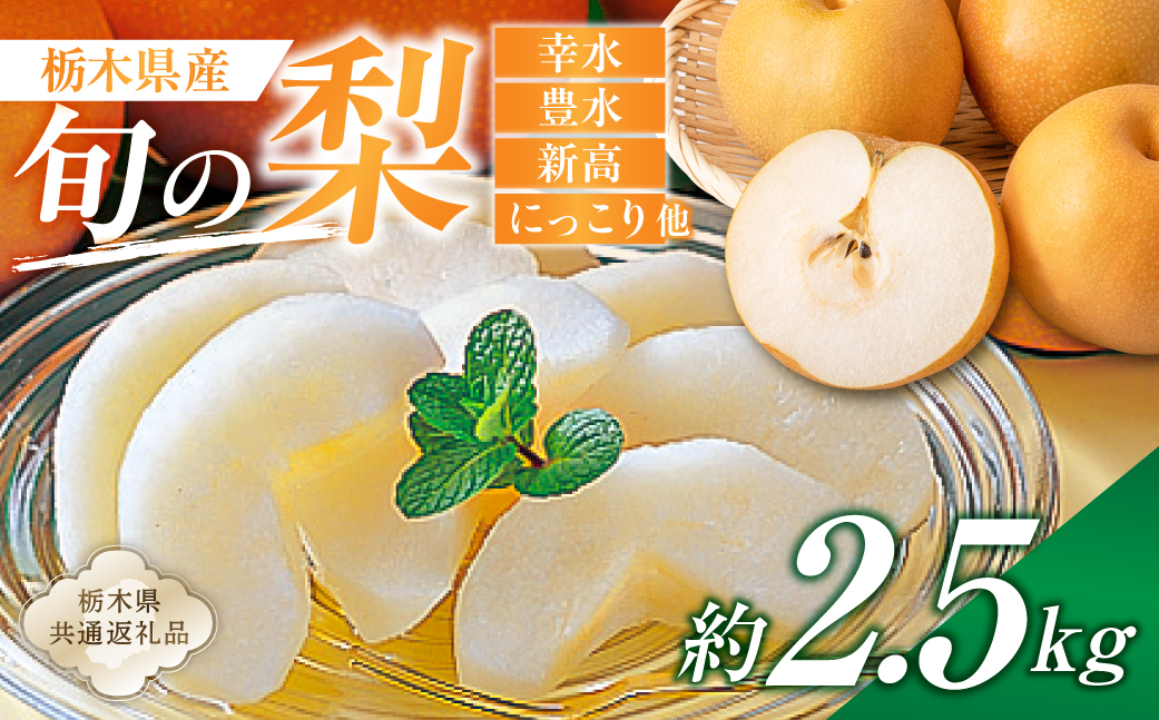 ns110-002-1 栃木県産　旬の梨　約2.5kg【栃木県共通返礼品】