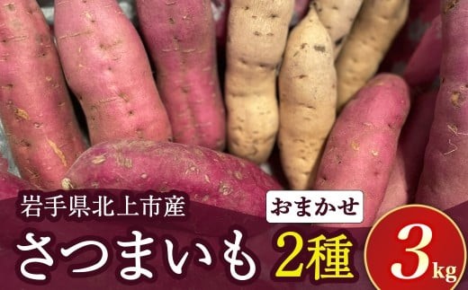【 R8年産 ９月下旬～発送予定 】 さつまいも 2種類 3kg　（ シルクスイート 、 パープルスイート 、 ハロウィンスイート 、 紅あずま 、 紅はるか 、 安納芋 、 鳴門金時 等から 2品種 詰め合わせ ） 国産 サツマイモ セット さつま芋 野菜  産地直送 岩手県 北上市 齋藤 智仁 B0399