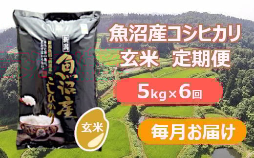 
            【先行予約】【令和7年産 新米玄米】【6か月定期便(毎月全6回)】魚沼産コシヒカリ・棚田米 玄米5kg×6回(毎月お届け)※2025年9月下旬以降より順次発送予定 佐藤農場 【0018-0027DB00-01】
          