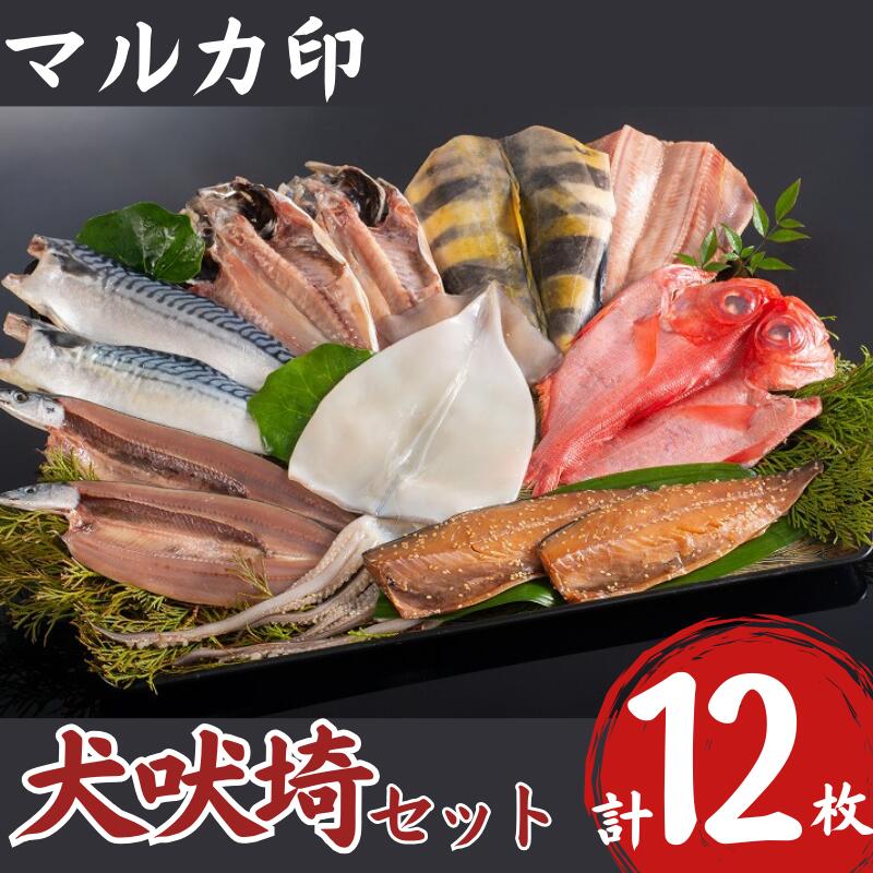 【ふるさと納税】 マルカ印 犬吠埼セット 千葉県 銚子市 いか あじ さば さんま ほっけ つりきんめ