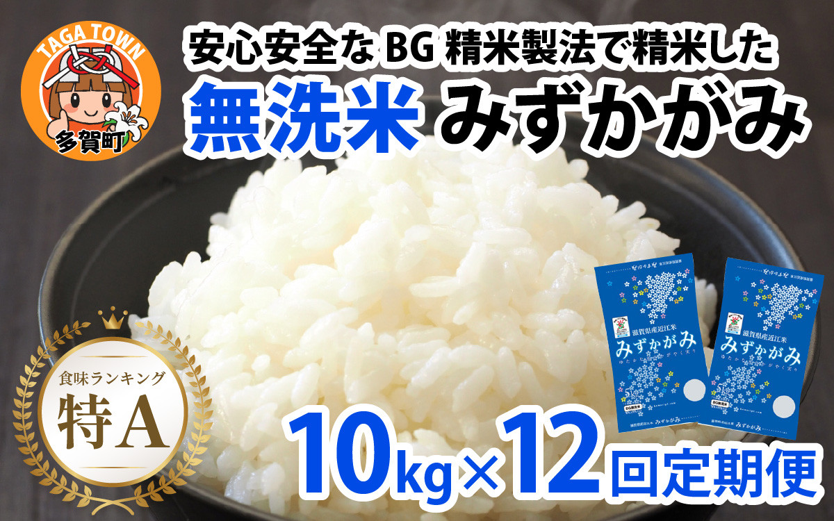 
            【令和７年産新米　毎月定期配送・計12回】 BG無洗米みずかがみ10kg×12回 [R-00402] / 滋賀県産 多賀町 みずかがみ 米 お米 こめ コメ 白米 ご飯 精米 10kg 袋 定期便 12ヶ月連続 国産 送料無料 おすすめ 人気 大人気 国産 ランキング 無洗米 ヌカ
          