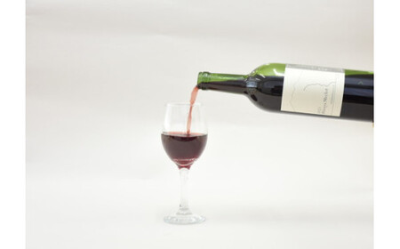 塩谷メルロー 2021 赤ワイン 750ml 2本セット