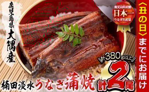 【丑の日までに配送】楠田の極うなぎ蒲焼き190g以上×2尾(計380g以上) 山椒付たれ 鰻 ウナギ 蒲焼 うな重 ひつまぶし 鹿児島 冷凍 おかず お祝い a7-021-us