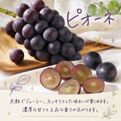 【発送月固定定期便】紀州和歌山産旬のフルーツセット(いちご・桃・ピオーネ)全3回【配送不可地域：離島・北海道・沖縄県】