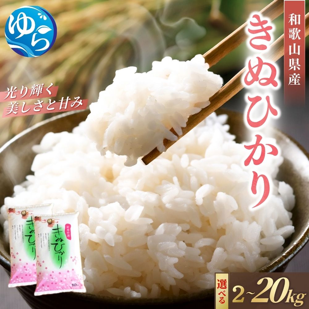 【ふるさと納税】 米 令和7年産 きぬひかり / 白米 2025年産 キヌヒカリ 2kg 5kg 10kg　20kg ※2025年9月中旬より順次発送