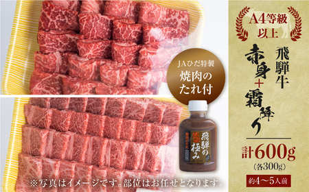 飛騨牛 牛肉 焼肉 赤身 霜降り 食べ比べ 300g×2種 600g A4等級以上バーベキュー BBQ のし対応 お祝い ギフト 25000円 [S451]