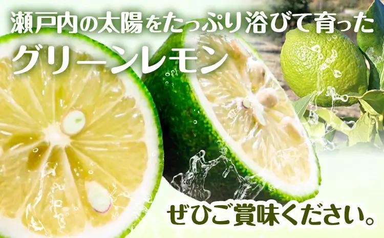 グリーン レモン 訳あり 5kg 三ツ山レモンファーム 檸檬