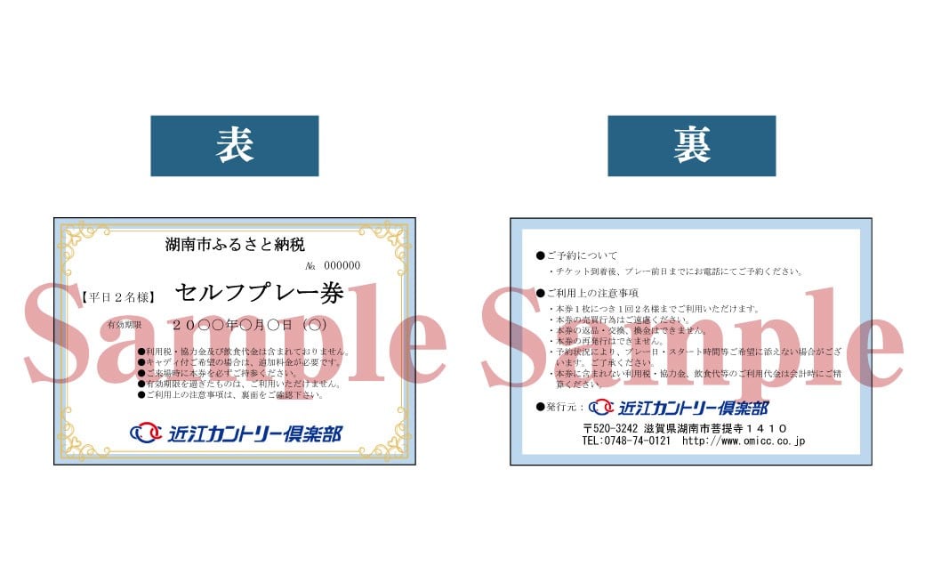 平日2名様 セルフプレー券
